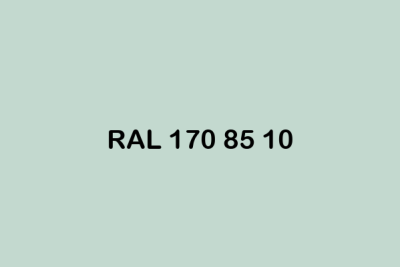 RAL 170 85 10 ral design
