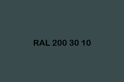 RAL 200 30 10 ral design