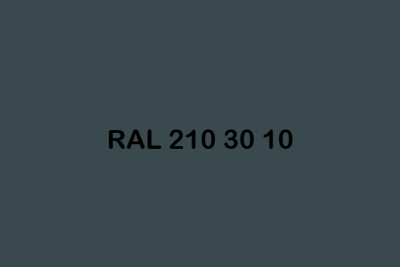 RAL 210 30 10 ral design