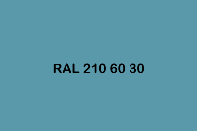 RAL 210 60 30 ral design