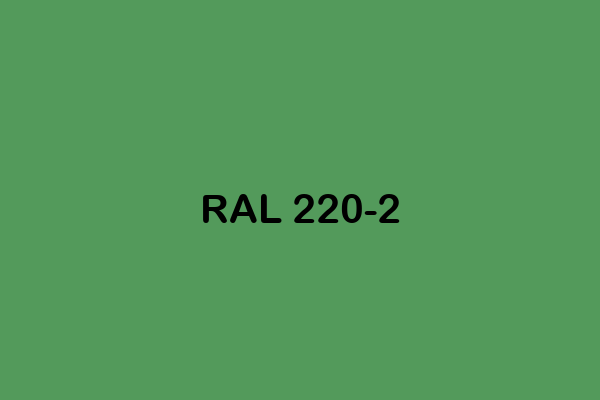 RAL 220 2 ral effect