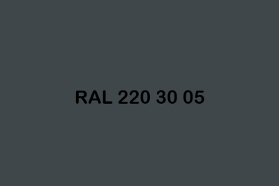 RAL 220 30 05 ral design