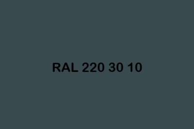 RAL 220 30 10 ral design