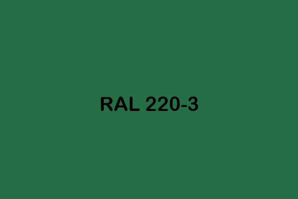 RAL 220 3 ral effect