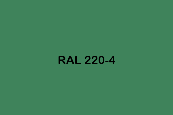 RAL 220 4 ral effect