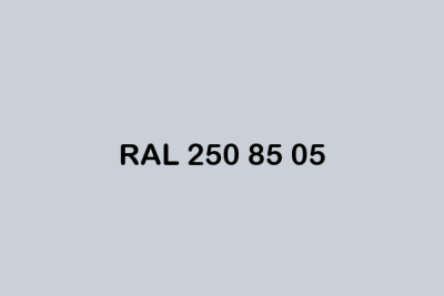 RAL 250 85 05 ral design