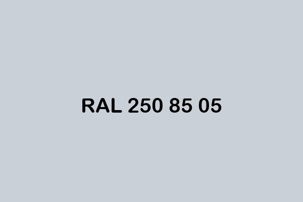 RAL 250 85 05 ral design