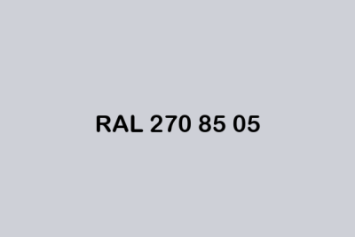 RAL 270 85 05 ral design