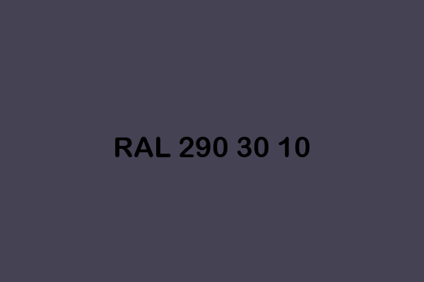 RAL 290 30 10 ral design