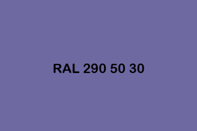 RAL 290 50 30 ral design