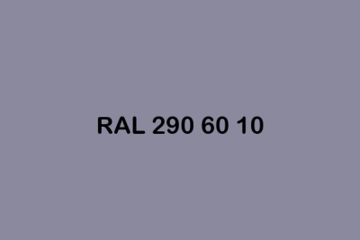 RAL 290 60 10 ral design