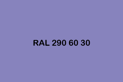 RAL 290 60 30 ral design