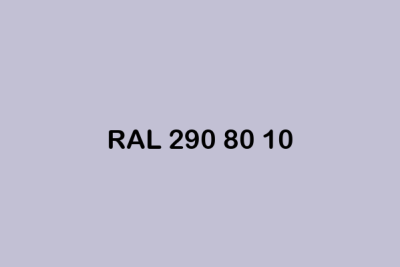 RAL 290 80 10 ral design