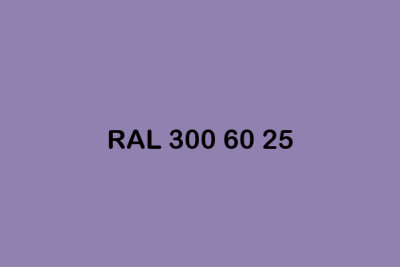 RAL 300 60 25 ral design