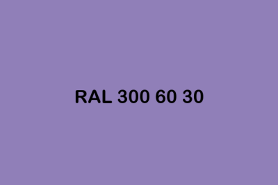RAL 300 60 30 ral design