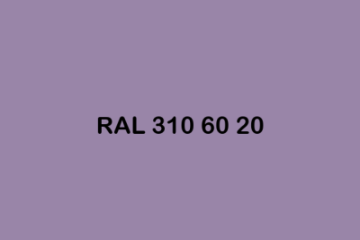 RAL 310 60 20 ral design
