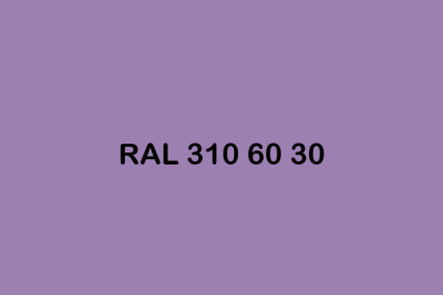 RAL 310 60 30 ral design