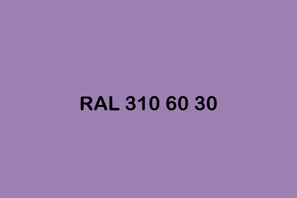 RAL 310 60 30 ral design