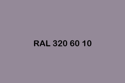 RAL 320 60 10 ral design