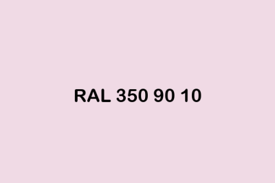 RAL 350 90 10 ral design