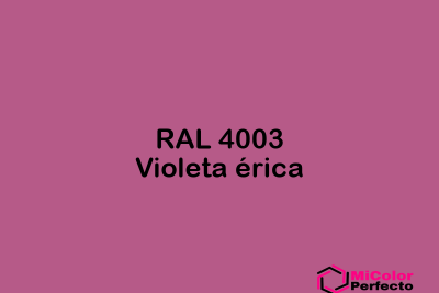 RAL 4003 Violeta erica