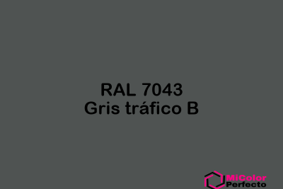 RAL 7043 Gris trafico B