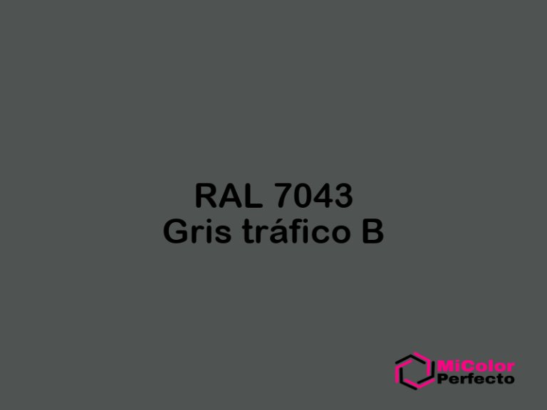 RAL 7043 Gris Tráfico B (RAL Classic) - micolorperfecto RAL